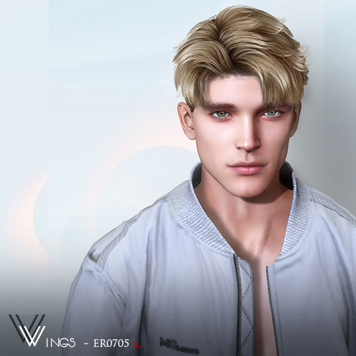 Second Life Marketplace WINGSHAIRER0705 Gray (Pack)